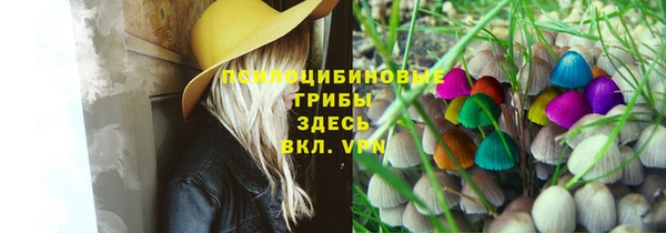 стафф Абаза