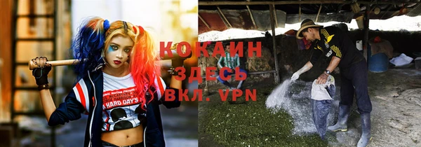 стафф Абаза