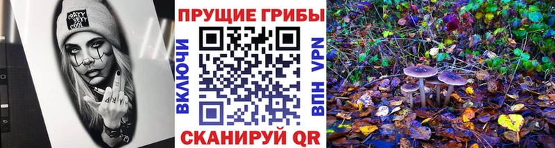 Псилоцибиновые грибы прущие грибы  Россошь 