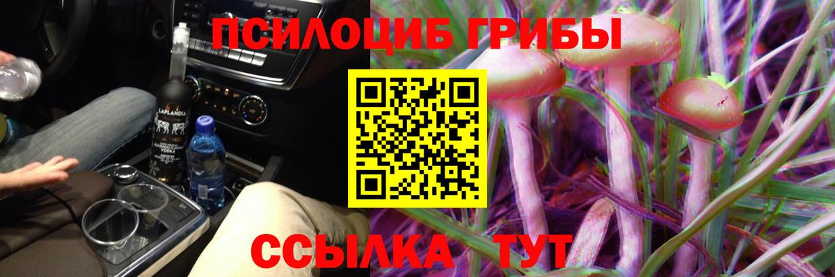 Россошь  Псилоцибиновые грибы Psilocybine cubensis  Вход с VPN 
