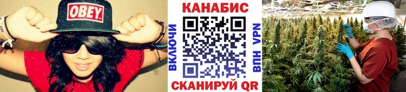 Каннабис ГИДРОПОН  где найти наркотики  Россошь 